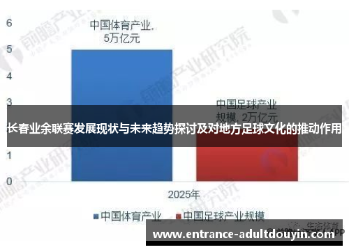 长春业余联赛发展现状与未来趋势探讨及对地方足球文化的推动作用